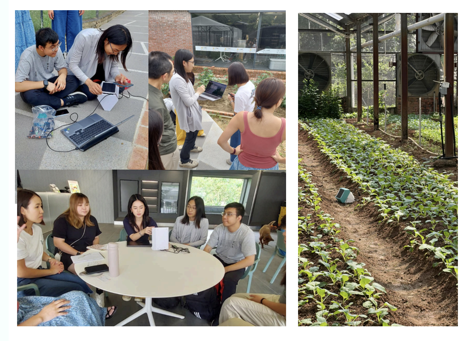 City I&T Grand Challenge：GrootX 試用與採用旅程